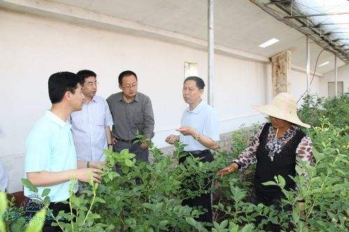 植物冠層分析儀在鄭州林業局的實際應用